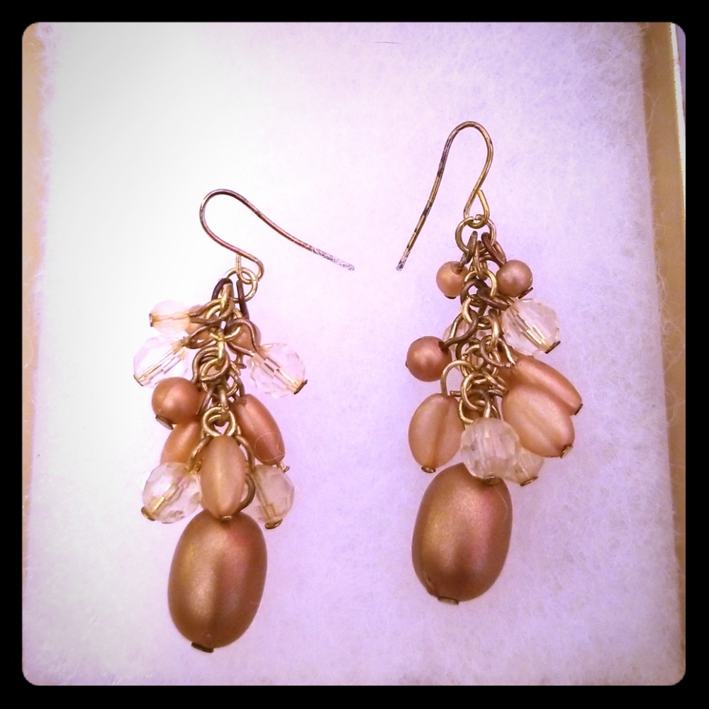 Premier Designs earrings